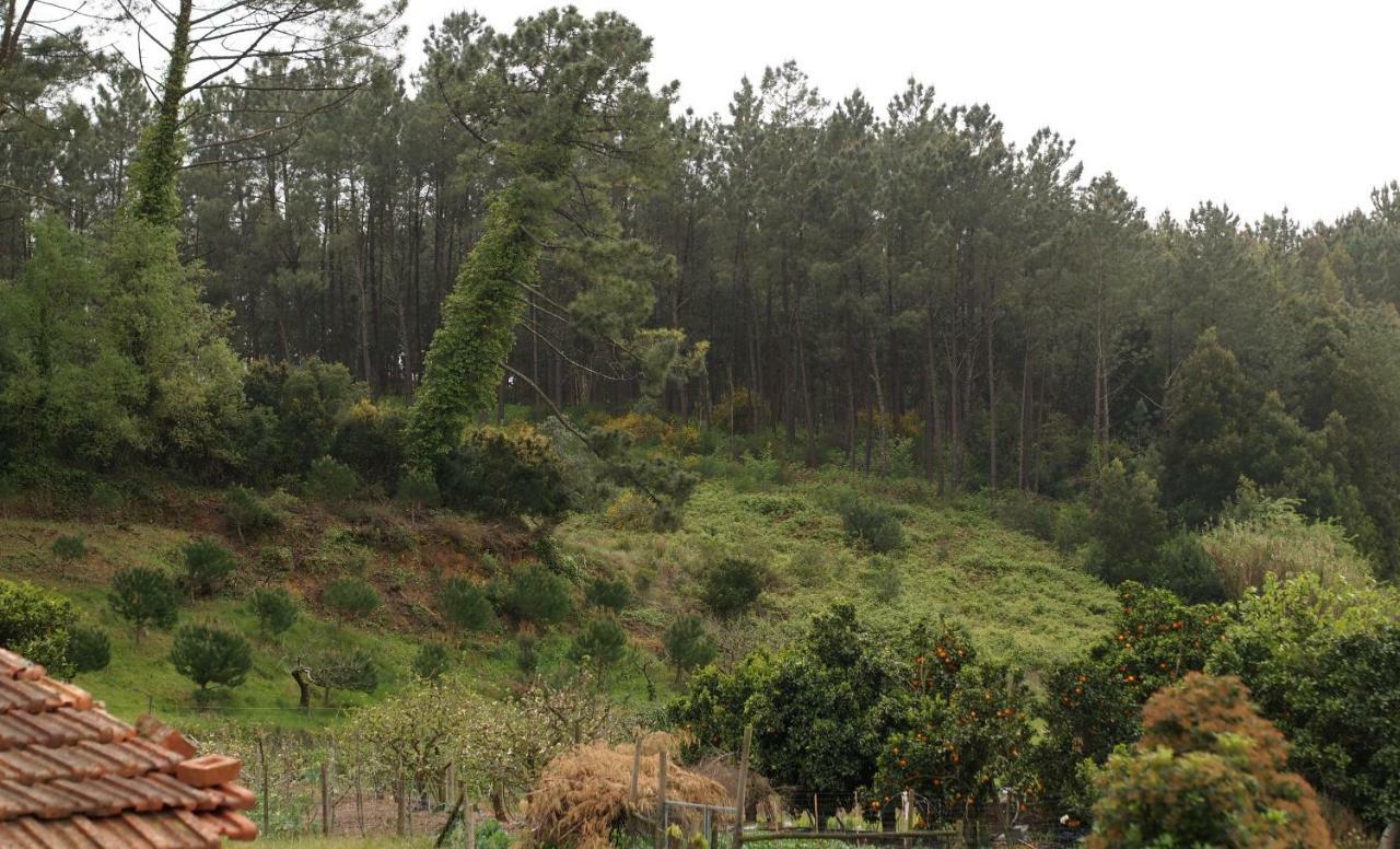 Casa Da Tia Dulce Villa Pataias Dış mekan fotoğraf